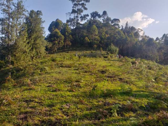 Lote De 21000m2 En San Vicente Vereda La Porquera.