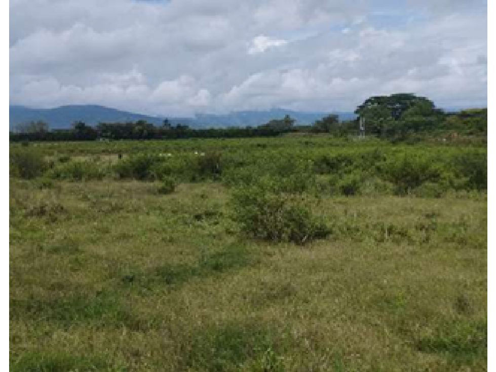 LOTE 9600 M2 EN VENTA SOBRE VIA BUGA - TULUA  USO AGRO INDUSTRIAL