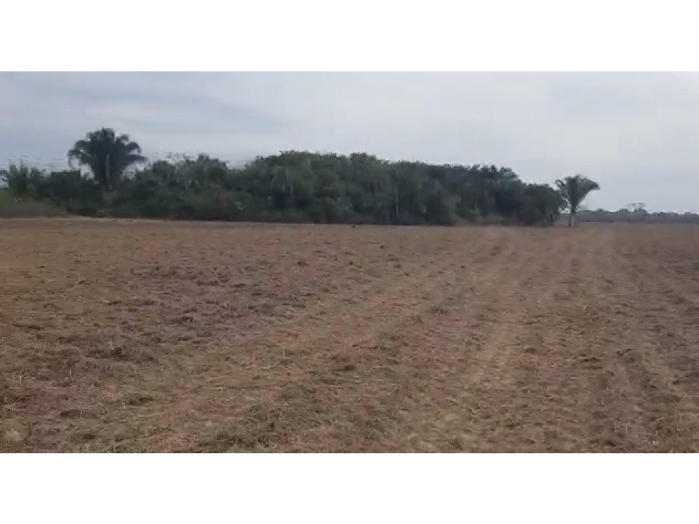 SE VENDE TERRENO EN PAZ DE ARIPORO CASANARE