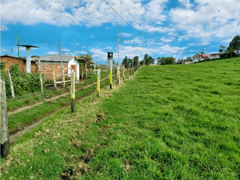 LOTE TENDIDO EN SAN PEDRO EN HERMOSO VECINDARIO