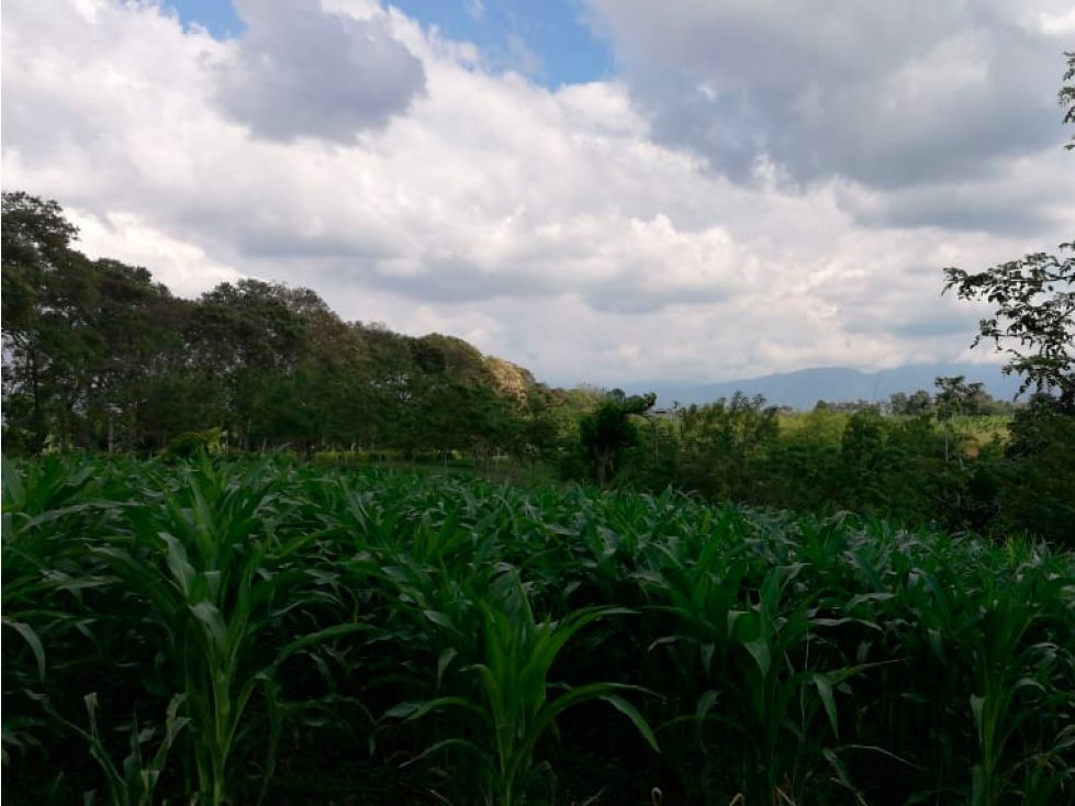 FINCA / LOTE PARA PROPÓSITOS AGROTURÍSTICOS