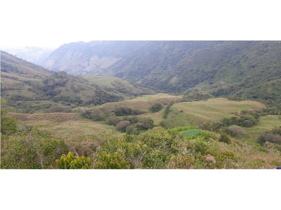 VENDO FINCA GANADERA DE 400 CUADRAS EN PUEBLORRICO CERCA A HISPANIA