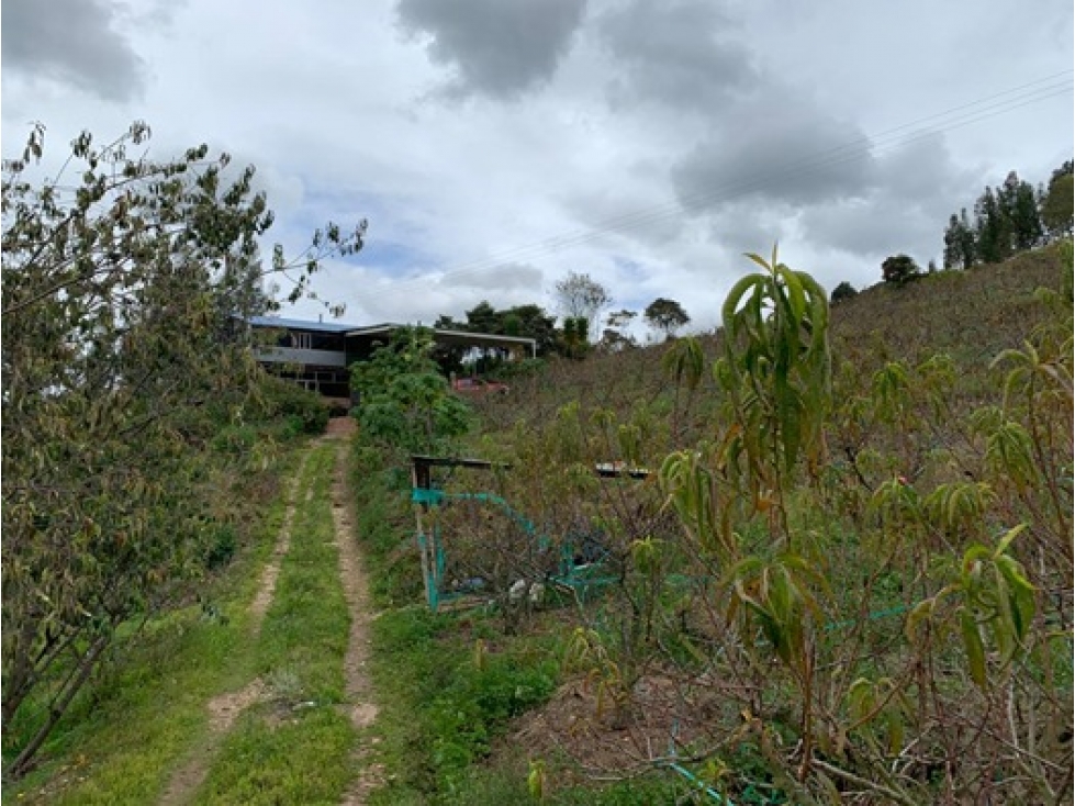 VENDO EN PAIPA BOYACA HERMOSA FINCA EN PRODUCCIÓN