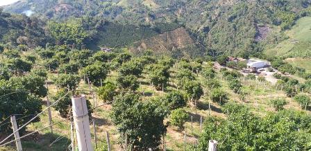 Venta Finca Neira