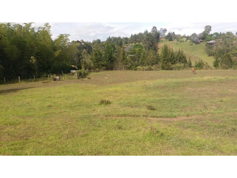 Lote en Venta en Rionegro