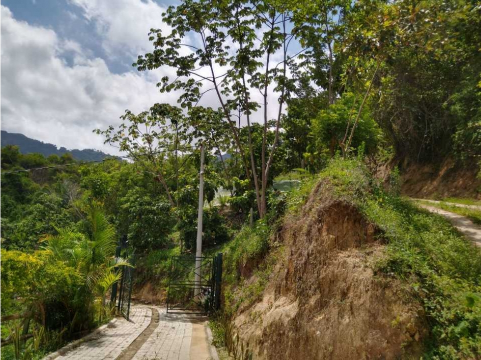 Casa finca amoblada de 2 hectáreas a 800 mtrs antes de minca