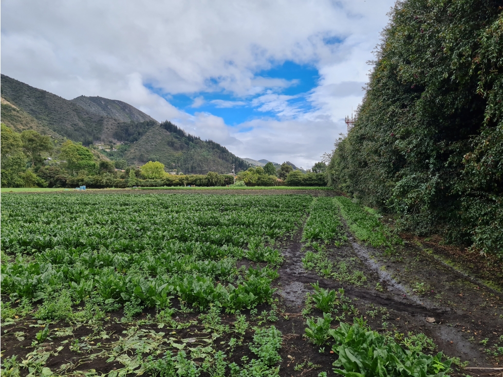 Vendo Lote en Cota Cundinamarca