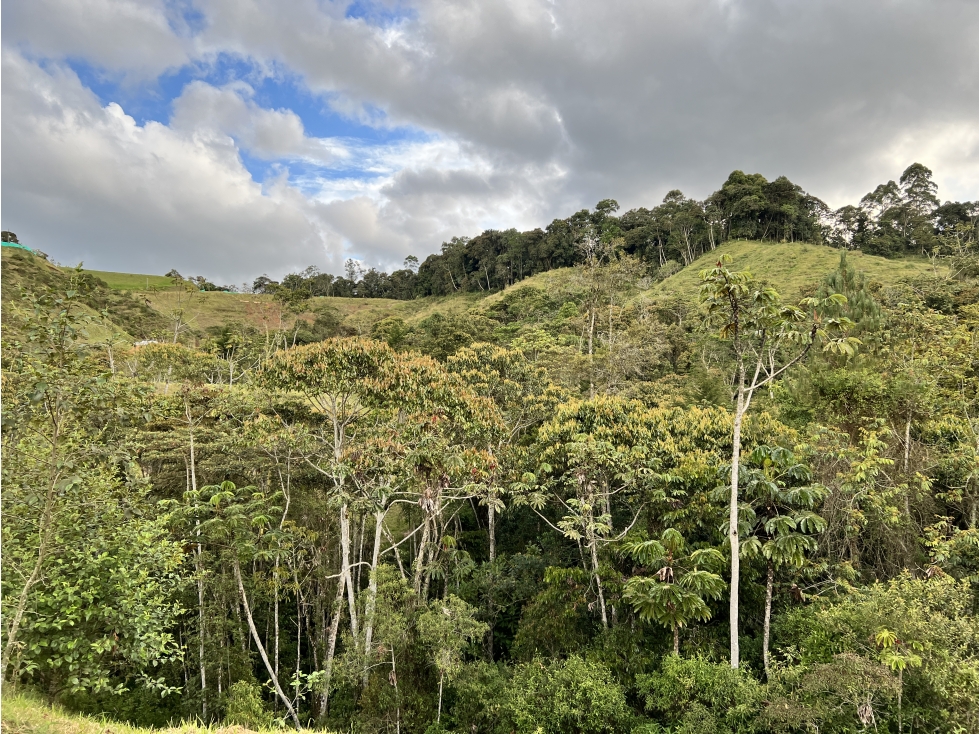 LOTE EL RETIRO PARCELACION CERRADA