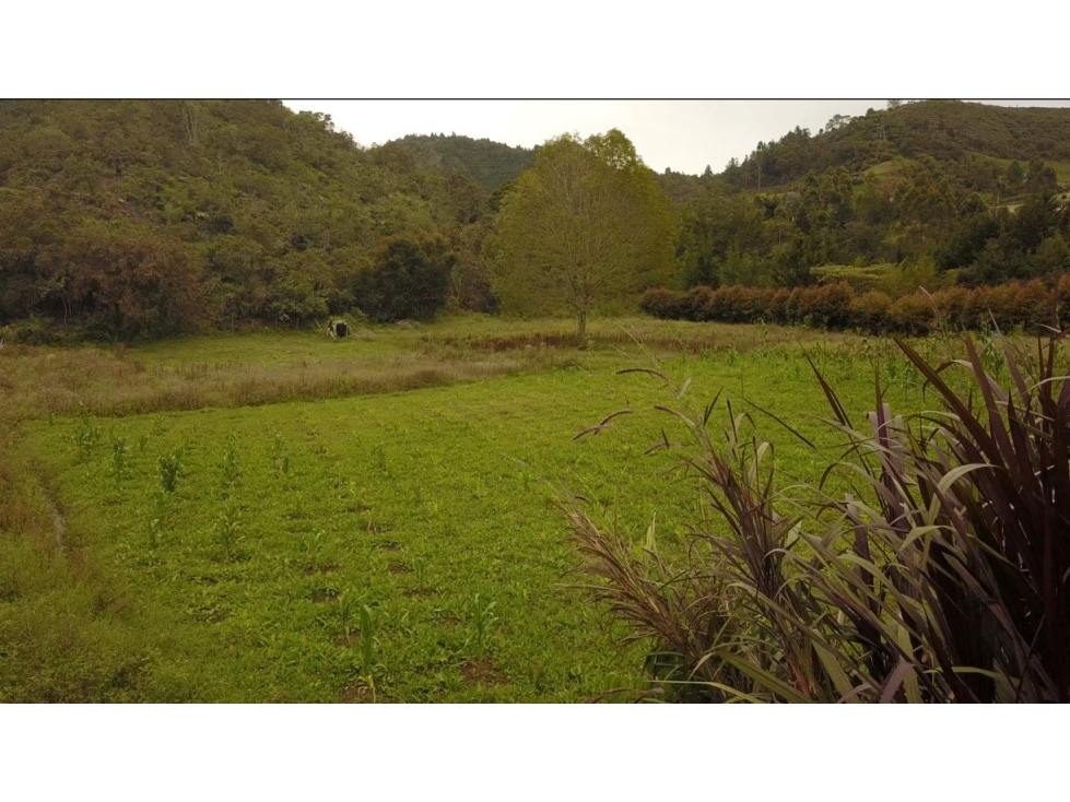 Hermoso Lote Rodeado de Reserva En Guarne De 5.838 m²