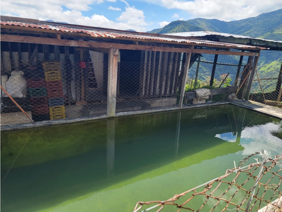 Se vende Finca Génova Quindío