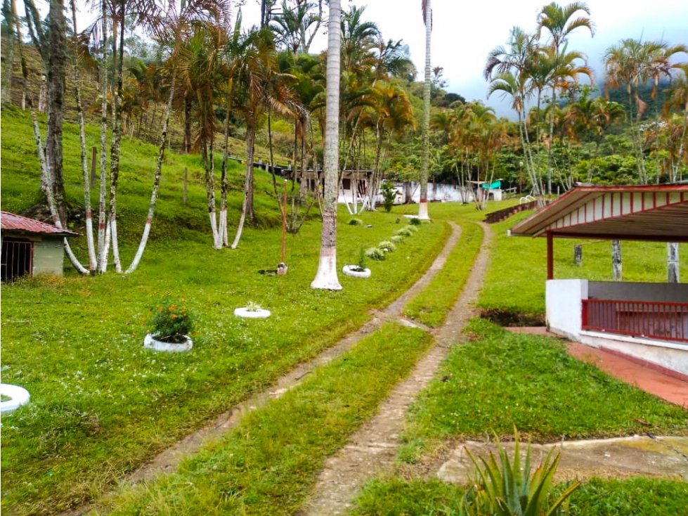 Se vende Finca en Rio Gris Génova Quindío