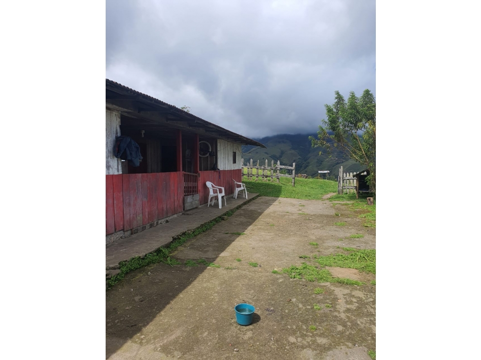 Se vende Finca Génova Quindío