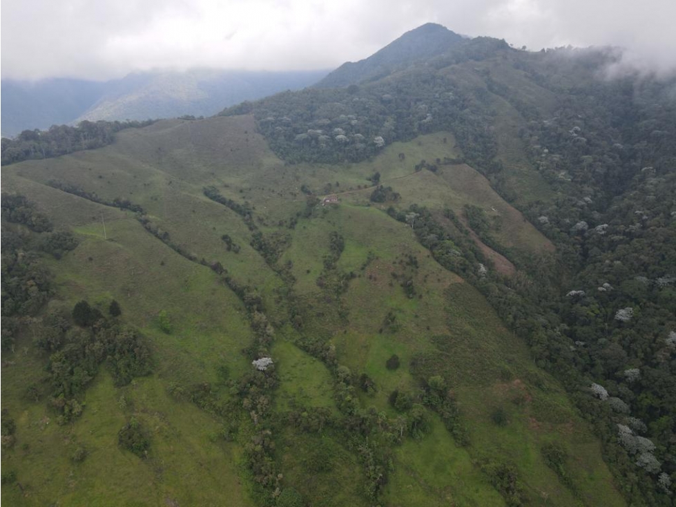 Se vende Finca Génova Quindío