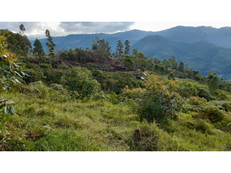 Se Vende Finca en Génova - Quindío