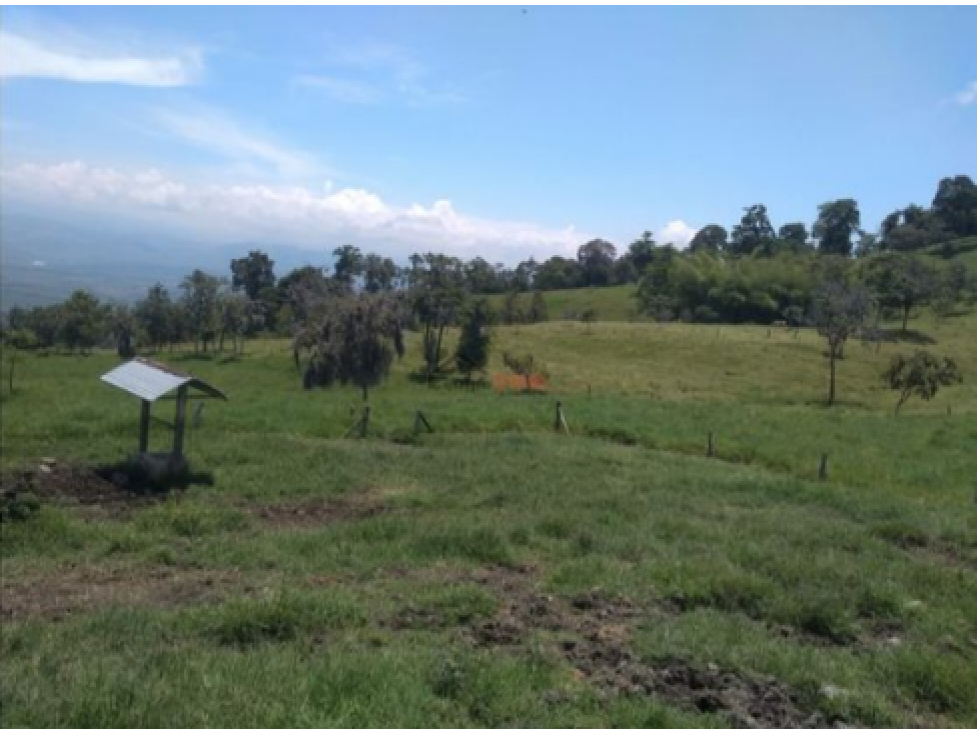Venta Finca Buga, Valle del Cauca, Ganadera