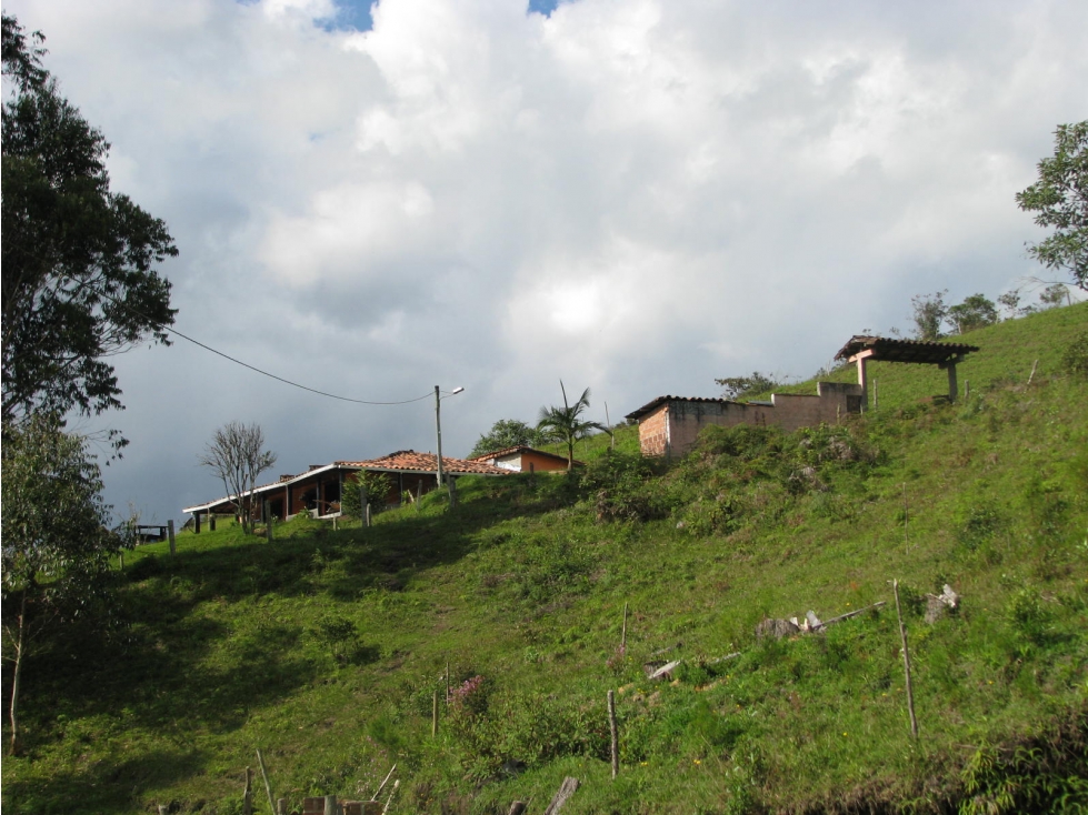 Venta Finca Agroindustrial Vía A San Vicente Km 6 de la Autopista