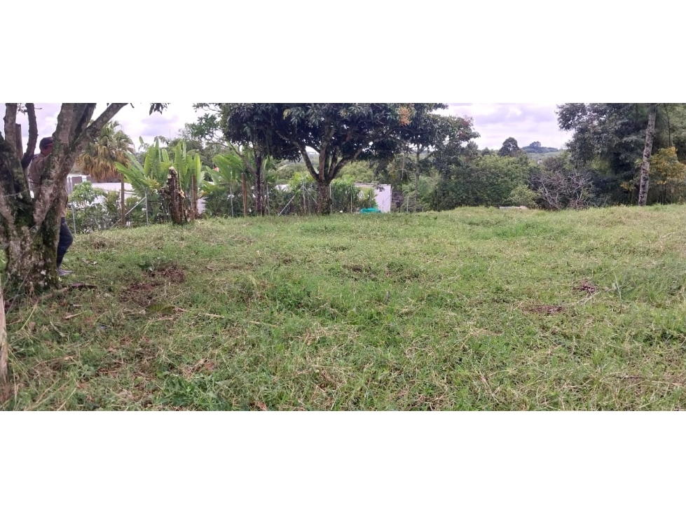 VENTA DE LOTE VIA CIRCASIA PEREIRA