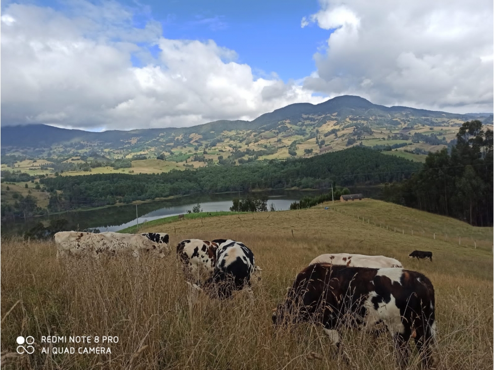 Espectacular Lote De 3 Fanegadas En Ubaté Frente Al Embalse El Hato