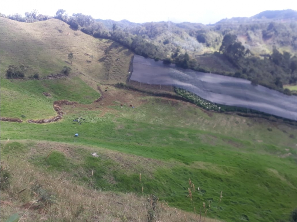 Venta de Finca en La Ceja, Antioquia