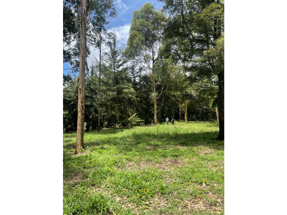 Venta lote de terreno Rionegro, Llanogrande , independiente