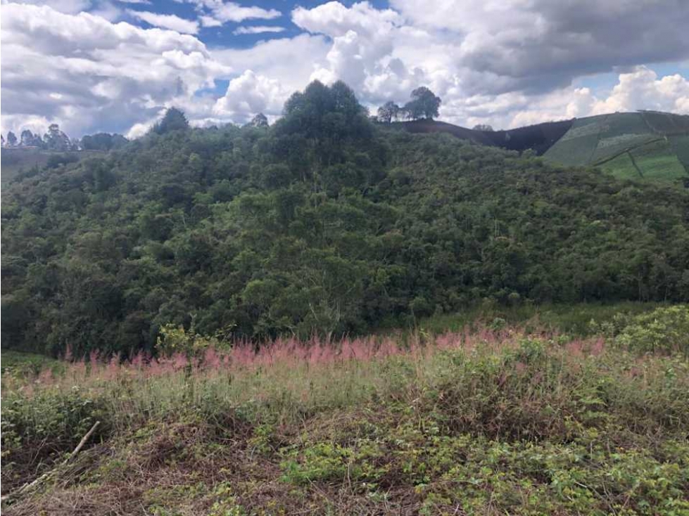 Espectacular lote en el oriente antioqueño via Rionegro-el Carmen