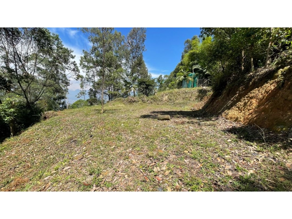 ESPECTACULAR LOTE PALMAS CERCA AL TÚNEL DE ORIENTE