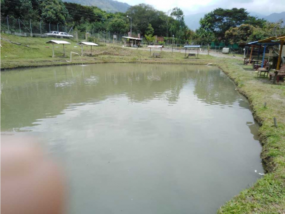 Venta Casa Finca productiva con lagos de Pesca deportiva Palmira V