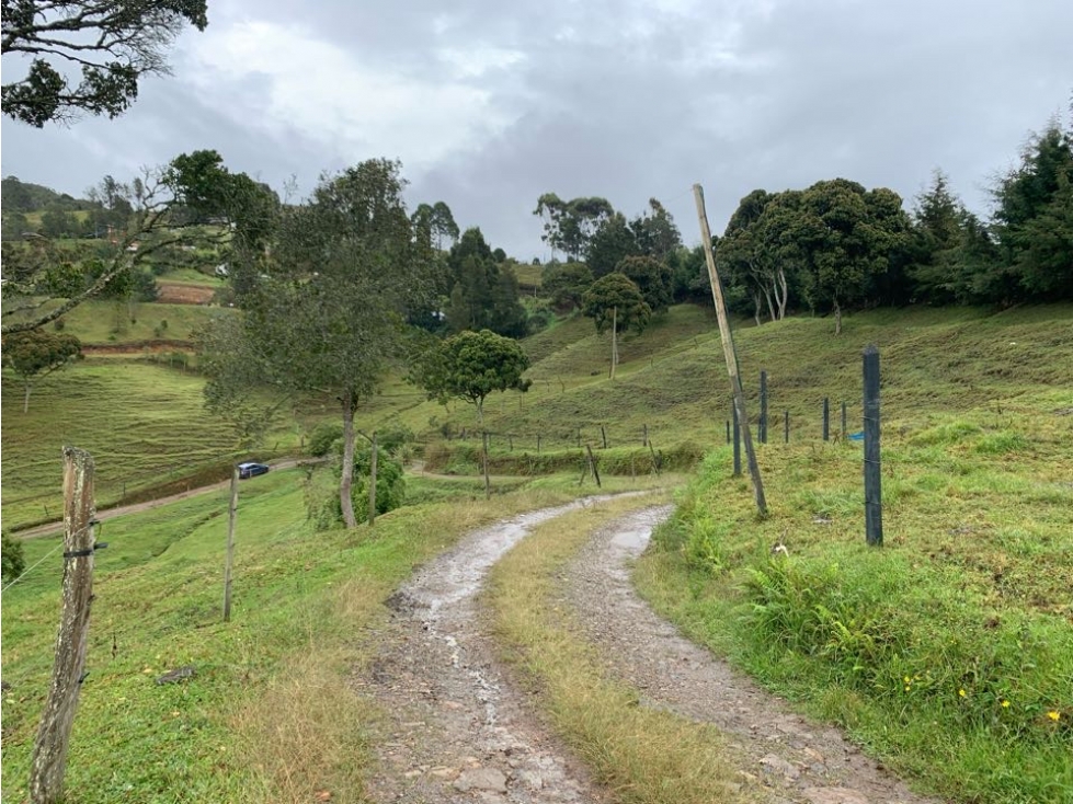 Finca con tipología de PARCELACION o Condominio