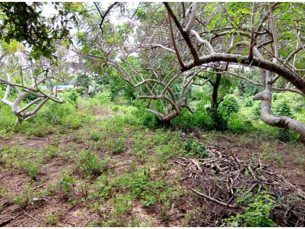 Finca tres Hectáreas en Mamonal