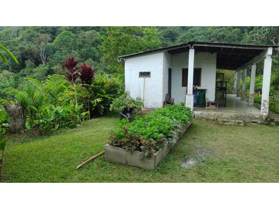 Hermosa finca vacacional y cafetera de 1 hectárea en el campano