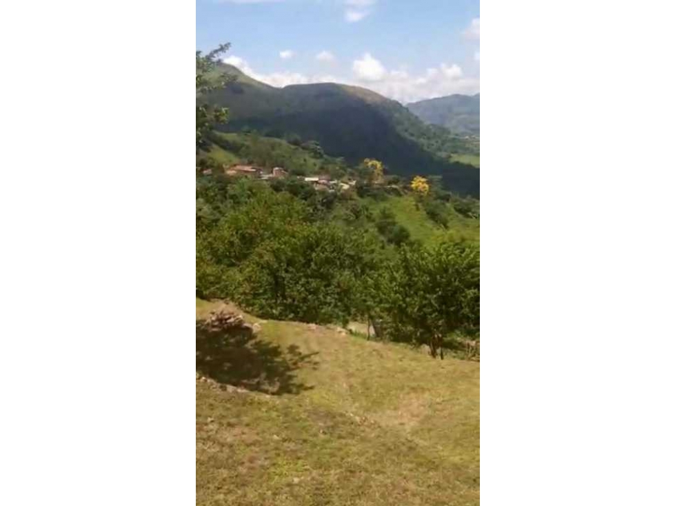 VENCAMBIO HERMOSO LOTE A 50MINS DE MEDELLIN CON VISTA PANORÁMICA