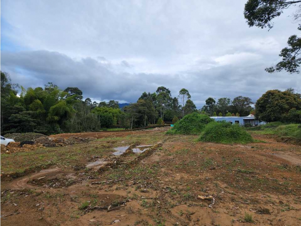 Lote en cesión de derechos proyecto La Ceja - Rionegro