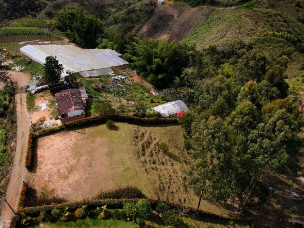 VENTA LOTE EN RIONEGRO, SECTOR GALICIA.