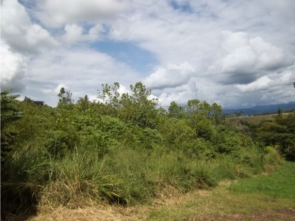 Lote Parcelación Las Margaritas Cambia Caldas