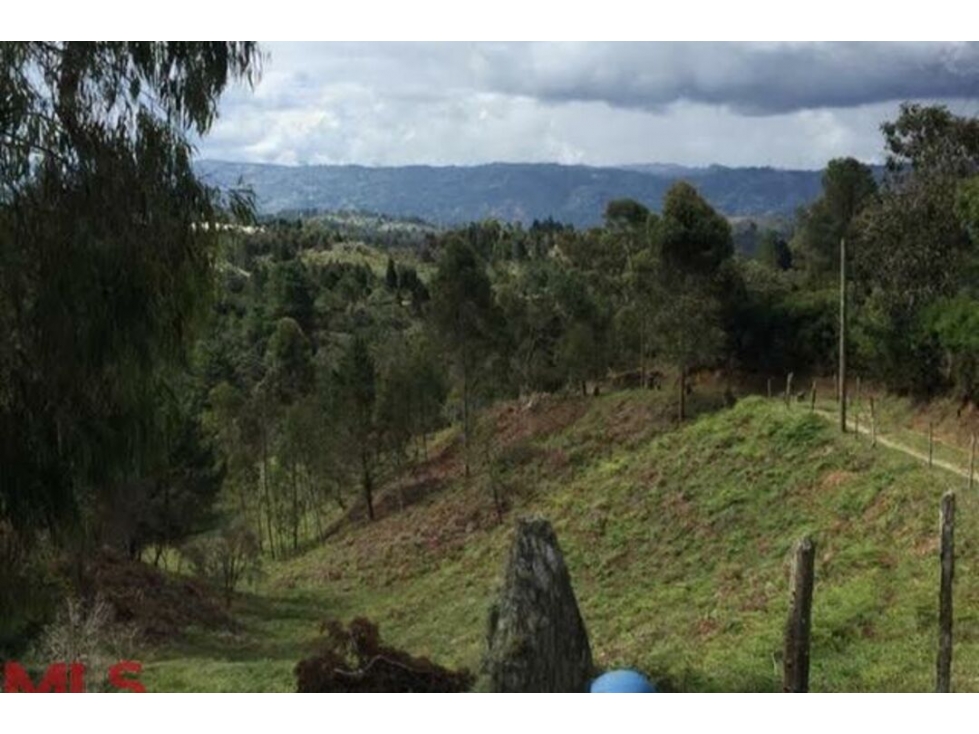 Lote Residencial en venta en Santa Elena, Guarne