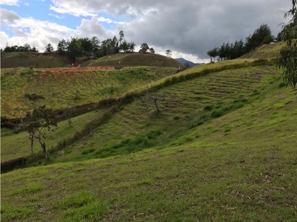 Lote San Antonio La Ceja