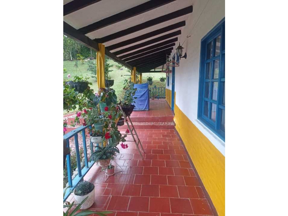 Se vende hermosa finca en tocota . Dentro de parcelacion