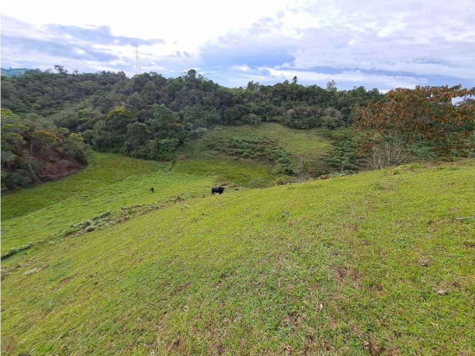 LOTE EN VENTA SANTUARIO, ANTIOQUIA