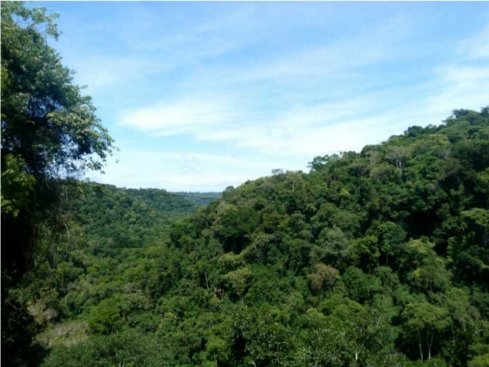 VENDO LOTE  MUY BARATO EN ANORÍ NORDESTE ANTI ! MADERA Y MUCHA AGUA