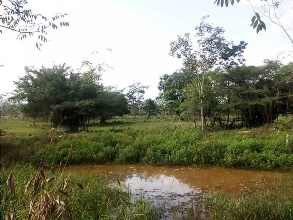 VENTA DE FINCA EN TIERRA ALTA, CORDOBA