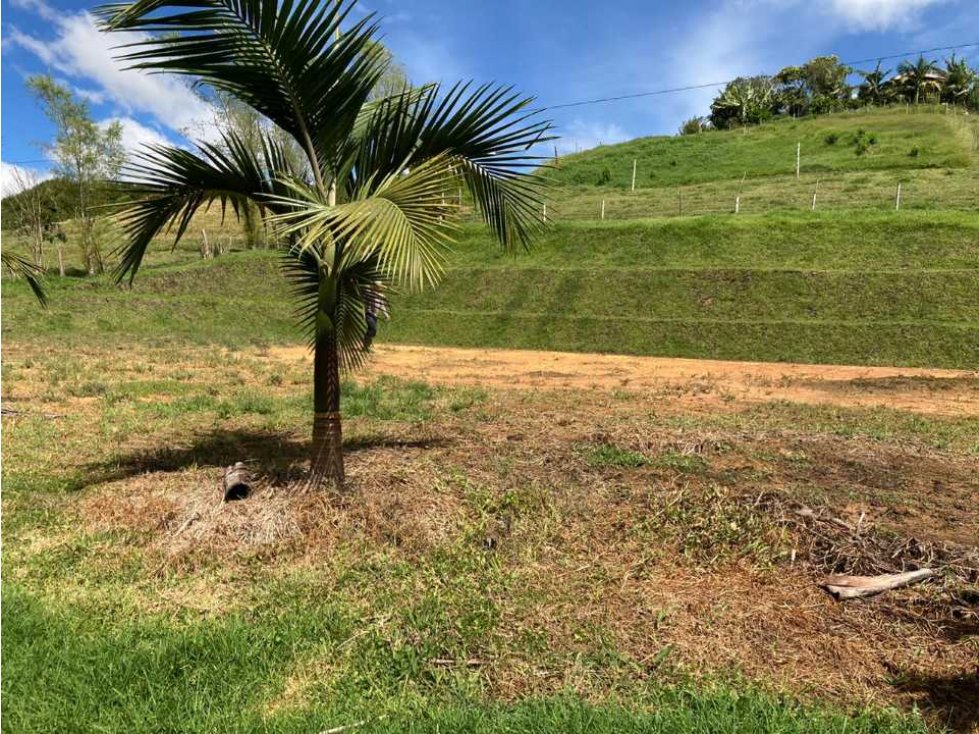 Venta de lote en el Carmen de viboral