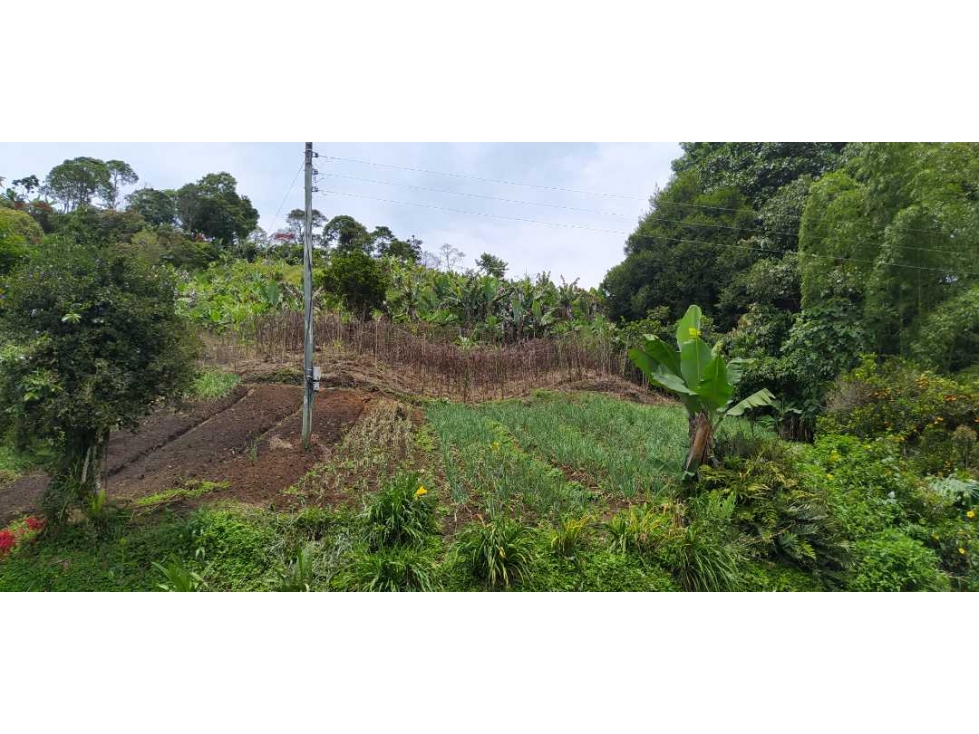 VENTA FINCA Jerico antioquia