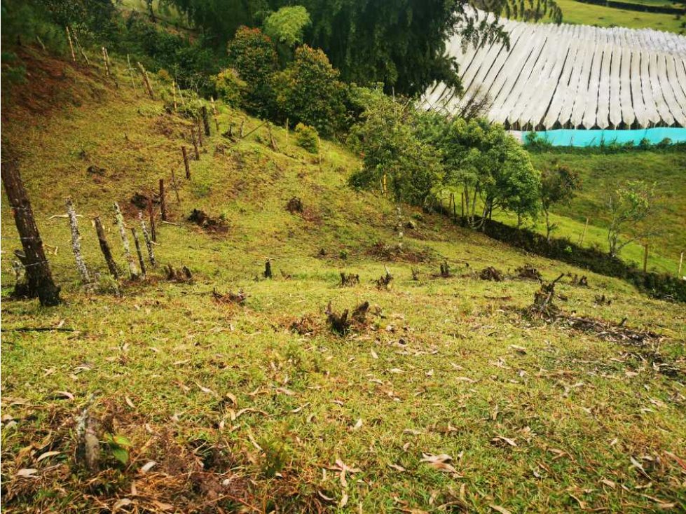 VENTA LOTE ENTRE EL PEÑOL - GUATAPE