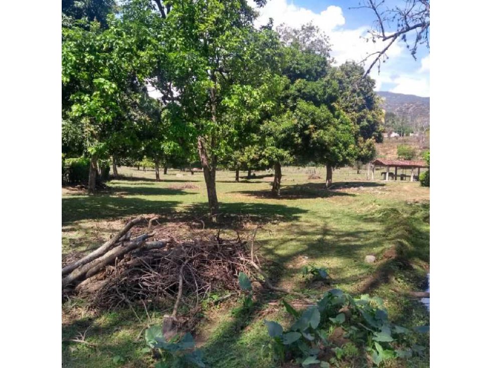 VENTA LOTE SANTA FE DE ANTIOQUIA COD#LSF1