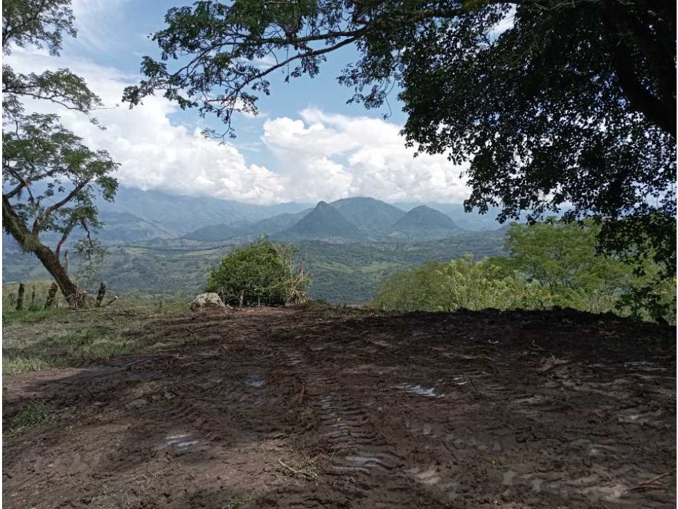 VENTA LOTE TAMESIS LA OCULTA, SUROESTE ANTIOQUEÑO