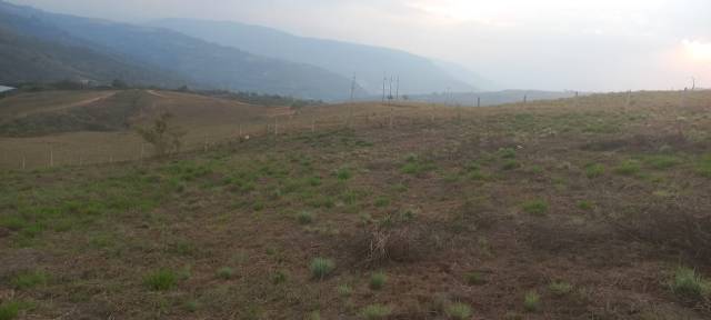 Vendo Hermoso Lote 4200 M2 Curiti - San Gil Haga Su Oferta Se Recibe Moto De Alto Cilindraje